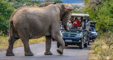Hluhluwe-uMfolozi Game Park